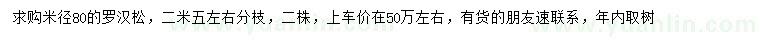 求購米徑80公分羅漢松