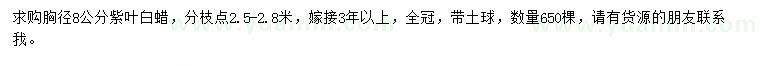 求購胸徑8公分紫葉白蠟
