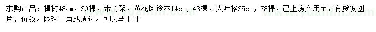 求購(gòu)樟樹(shù)、黃花風(fēng)鈴木、大葉榕