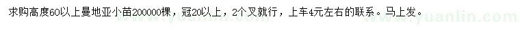 求購高60公分以上曼地亞紅豆杉