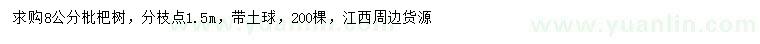 求購8公分枇杷樹