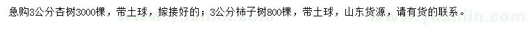 求購(gòu)3公分杏樹(shù)、柿子樹(shù)
