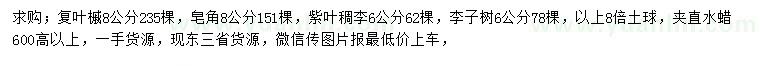 求購復(fù)葉槭、皂角、紫葉稠李等