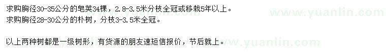 求購胸徑30-35公分皂莢、28-30公分樸樹