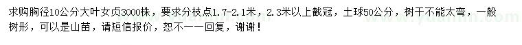 求購胸徑10公分大葉女貞