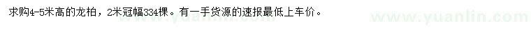 求購高4-5米龍柏