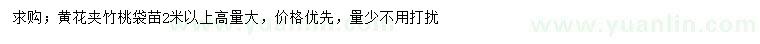 求購(gòu)高2米以上黃花夾竹桃