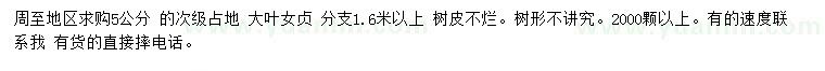 求購5公分大葉女貞