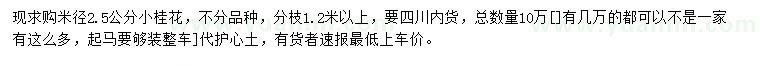 求購米徑2.5公分桂花