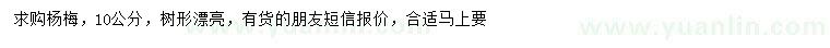 求購10公分楊梅