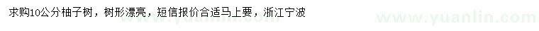 求購(gòu)10公分柚子樹