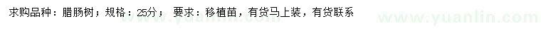 求購25公分臘腸樹