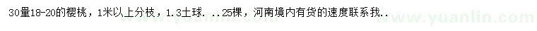 求購30量18-20公分櫻桃