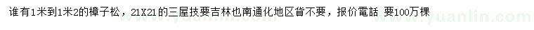 求購1-1.2米樟子松