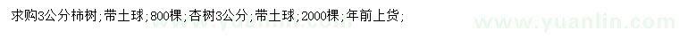 求購(gòu)3公分柿樹