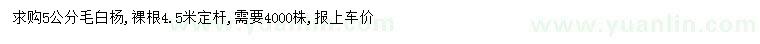 求購5公分毛白楊