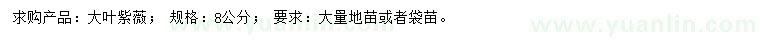 求購8公分大葉紫薇