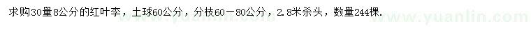 求購30量8公分紅葉李