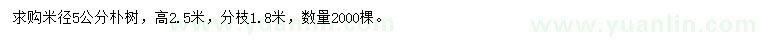 求購(gòu)米徑5公分樸樹