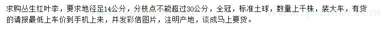 求購(gòu)地徑14公分紅葉李