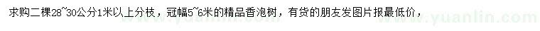 求購28-30公分香泡樹