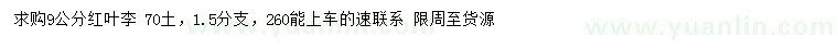 求購9公分紅葉李