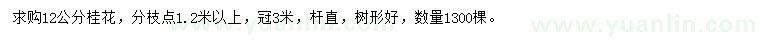 求購(gòu)12公分桂花