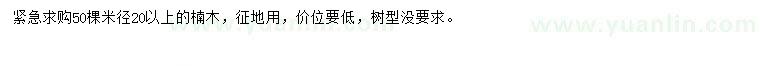 求購(gòu)米徑20公分以上楠木