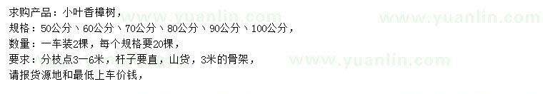 求購50-100公分小葉香樟