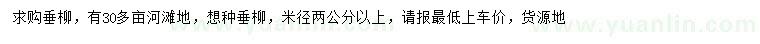 求購米徑2公分以上垂柳