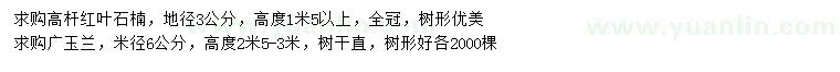 求購(gòu)地徑3公分高桿紅葉石楠、米徑6公分廣玉蘭