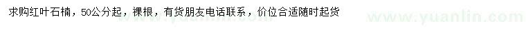 求購(gòu)50公分紅葉石楠