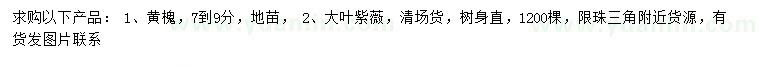 求購7-9公分黃槐、大葉紫薇