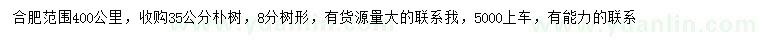 求購35公分樸樹