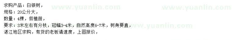 求購20公分白銀樹