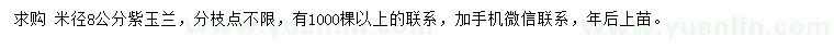 求購(gòu)米徑8公分紫玉蘭