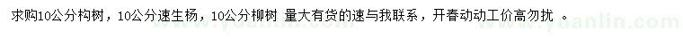 求購構(gòu)樹、速生楊、柳樹