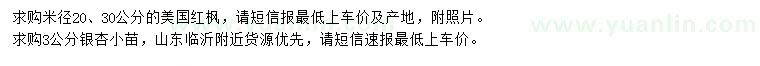 求購米徑20、30公分美國紅楓、3公分銀杏