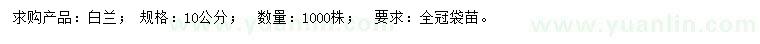 求購10公分白蘭