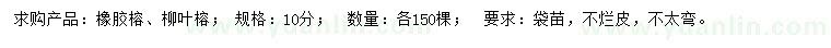 求購(gòu)10公分橡膠榕、柳葉榕