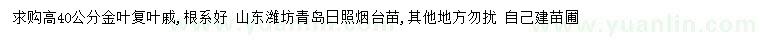求購高40公分金葉復(fù)葉槭
