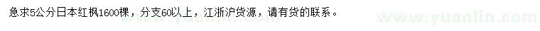 求購5公分日本紅楓