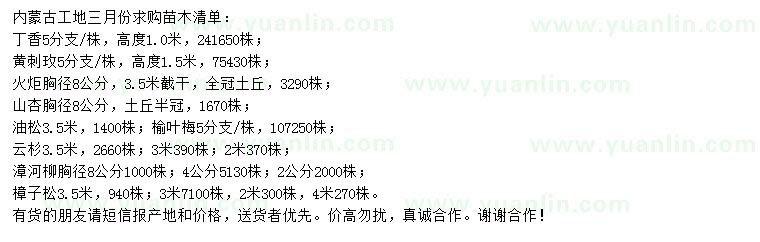求購丁香、黃刺玫、火炬等