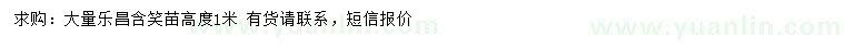 求購高1米樂昌含笑