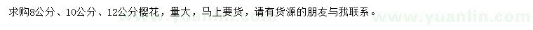 求購8、10、12公分櫻花