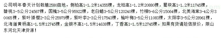 求購側柏、龍柏、蜀檜等