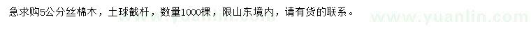 求購5公分絲棉木