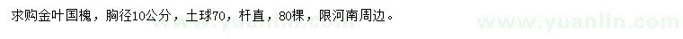 求購胸徑10公分金葉國槐