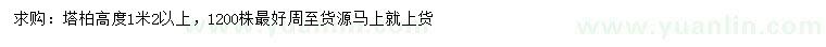 求購高1.2米以上塔柏