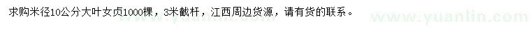 求購米徑10公分大葉女貞